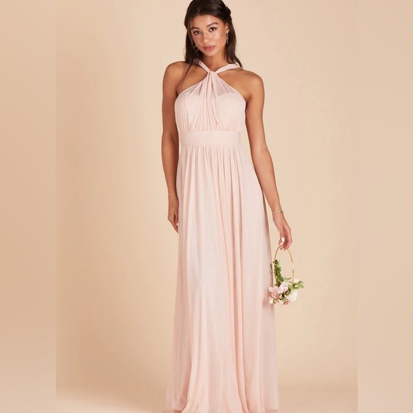 NWT Birdy Grey Dress KIKO DRESS CHIFFON PALE BLUSH Small Formal Wedding - Picture 10 of 10